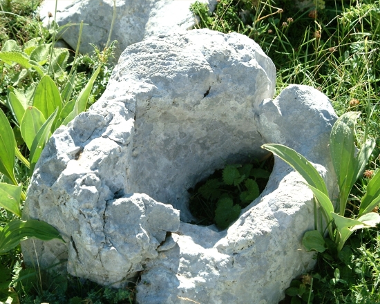 Sculture naturali